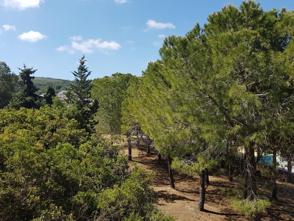 Melina'S Apartments Καλαβάρδα Εξωτερικό φωτογραφία
