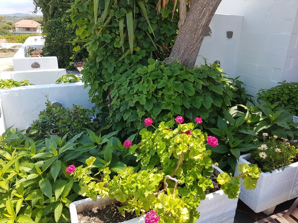 Melina'S Apartments Καλαβάρδα Εξωτερικό φωτογραφία
