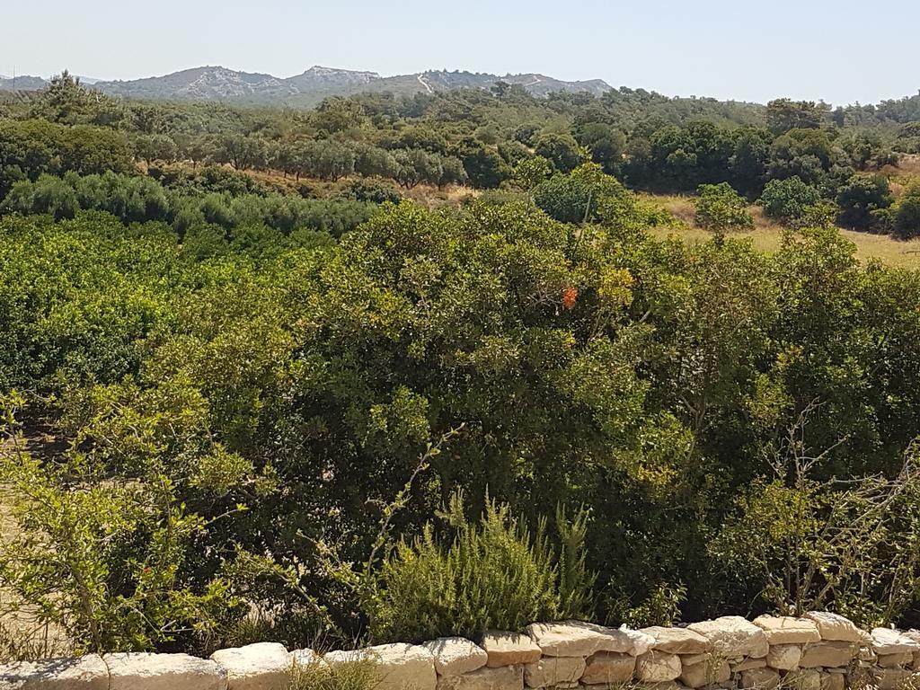 Melina'S Apartments Καλαβάρδα Εξωτερικό φωτογραφία
