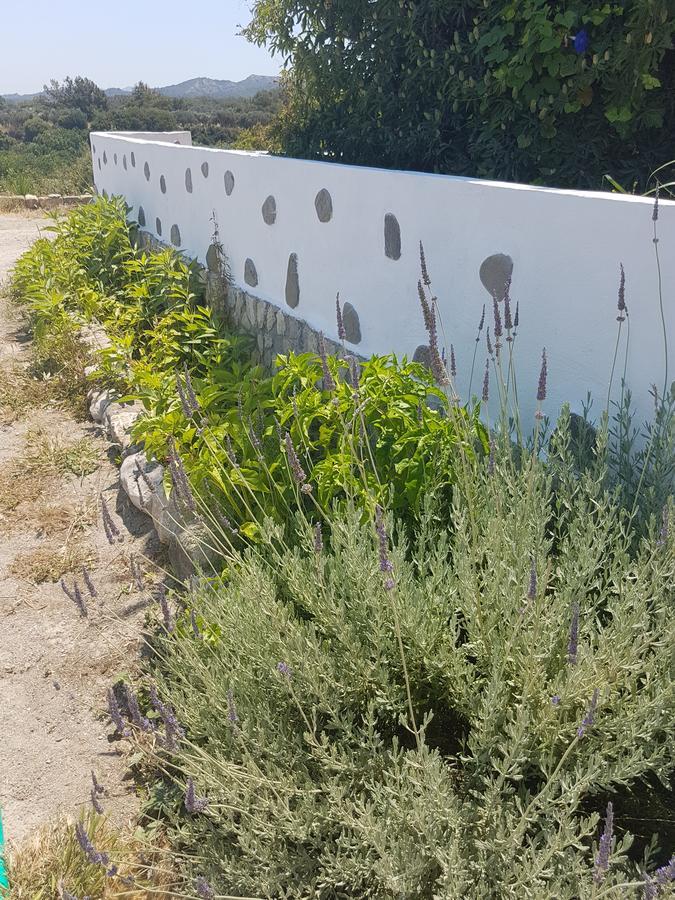 Melina'S Apartments Καλαβάρδα Εξωτερικό φωτογραφία